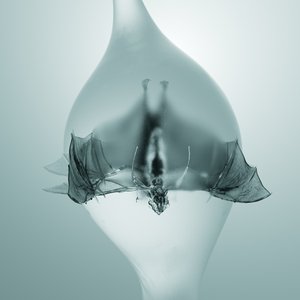Image for 'Angel'