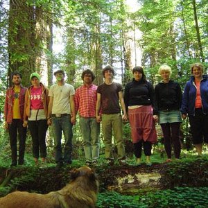 “Greenbelt Collective”的封面