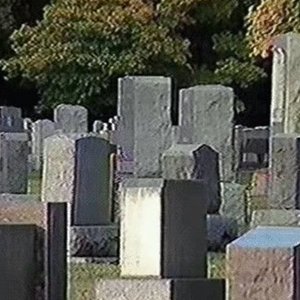 Изображение для 'Cadaver'