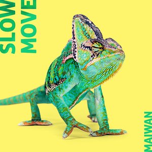 Image for 'Slow Move'