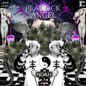 Image for 'PEACOCK ANGEL'