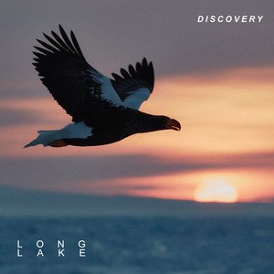'Discovery'の画像