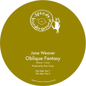 Image for 'Oblique Fantasy'