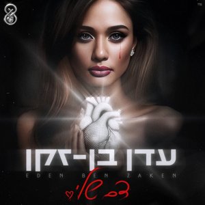 “דם שלי”的封面
