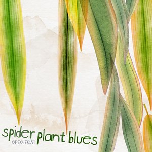 “Spider Plant Blues”的封面