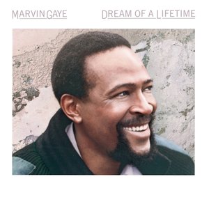 Bild für 'Dream Of A Lifetime'