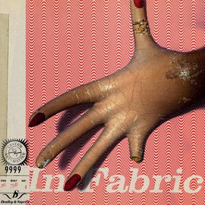Image for 'In Fabric'
