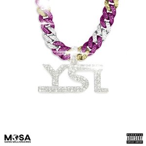 Image for 'Ysl'