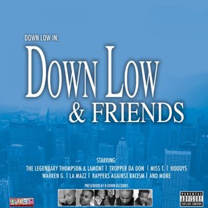 Image for 'Down Low & Friends'