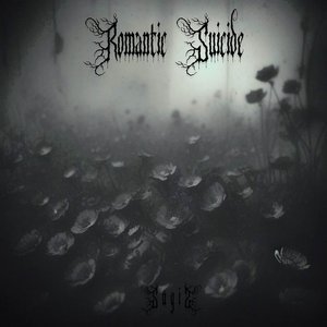 Image for 'Romantic Suicide'