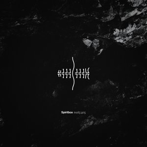 “Soft Spine”的封面