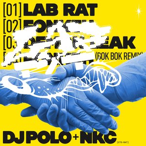 Image for 'Lab Rat'