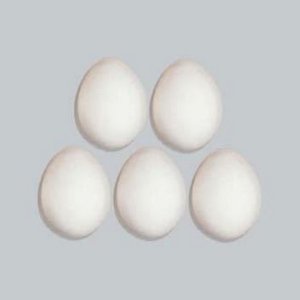 “the eggboys”的封面