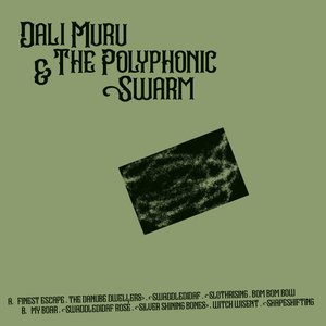 “Dali Muru & the Polyphonic Swarm”的封面