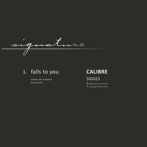 'Falls to You - Single'の画像