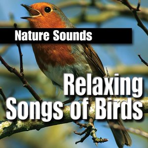 Image for 'Relaxing Songs of Birds'