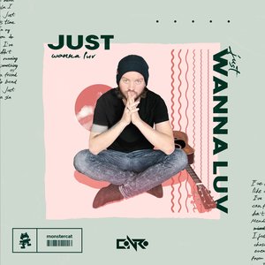 Image for 'just wanna luv'