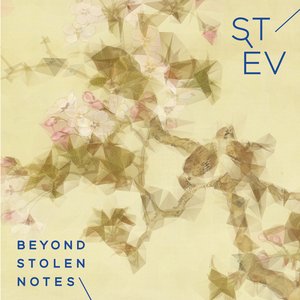 Image for 'Beyond Stolen Notes'