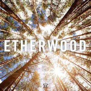 “Etherwood”的封面