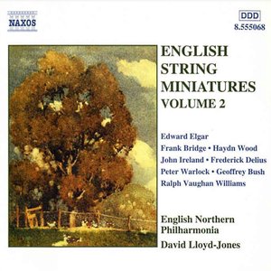 Image for 'ENGLISH STRING MINIATURES, Vol. 2'