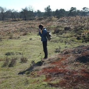 Image for 'David Edren'