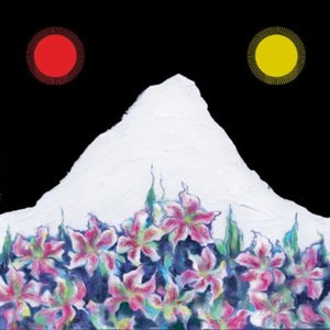 “Arakaruto”的封面