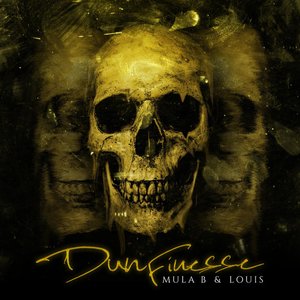 Image for 'Dun Finesse'
