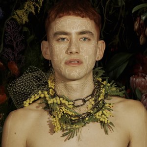 'Palo Santo (Deluxe)'の画像