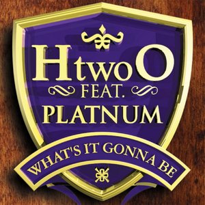 “What's It Gonna Be (feat. Platnum)”的封面