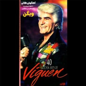 Image for '40 Golden Hits Of Viguen'