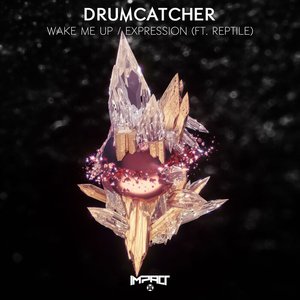 Image for 'Wake Me Up / Expression'