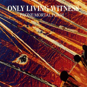 Изображение для 'Prone Mortal Form'