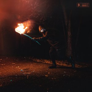 Image for 'Stealing Fire'