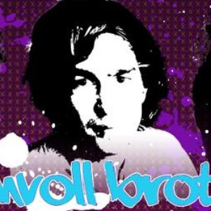 Image for 'Bummvoll Brothers'