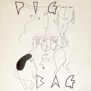 “Pigbag”的封面