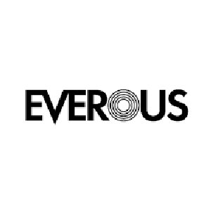 Image for 'Everous'