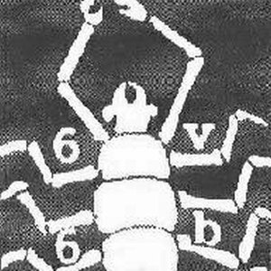 Image for '666 Volt Battery Noise'