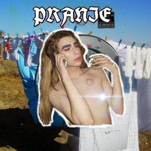 Изображение для 'PRANIE'