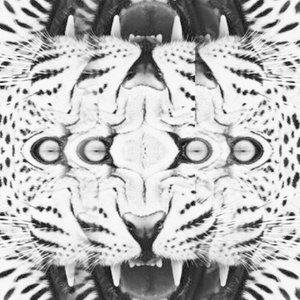 Image for 'Helmut Lang'