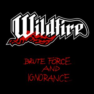 Image for 'Brute Force and Ignorance'