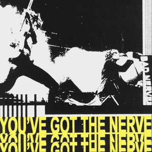 Bild für 'You've Got The Nerve'