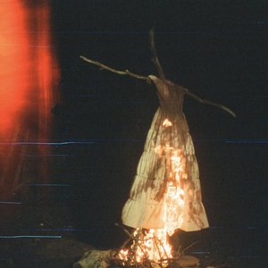 Image for 'Fever Songs'