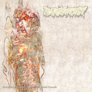 Immagine per 'Flourishing Extremities On Unspoiled Mental Grounds'