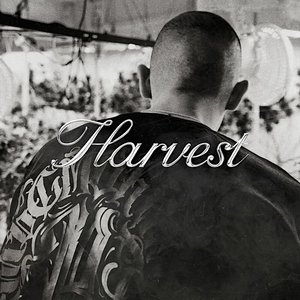 Image for 'Harvest'