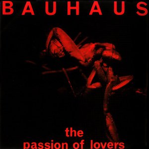 “The Passion of Lovers”的封面