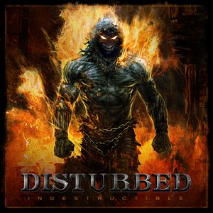 Image for 'Indestructible'