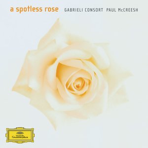 Image pour 'A Spotless Rose'