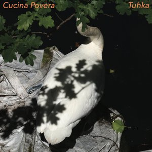 Zdjęcia dla 'Tuhka'