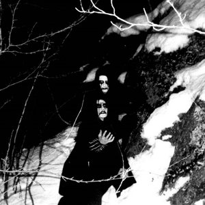 Image for 'Old Wainds'