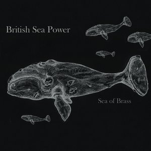Image for 'Sea of Brass'